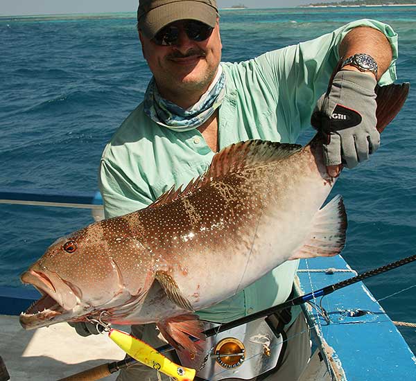 Jigging auf Coral Trout Grouper